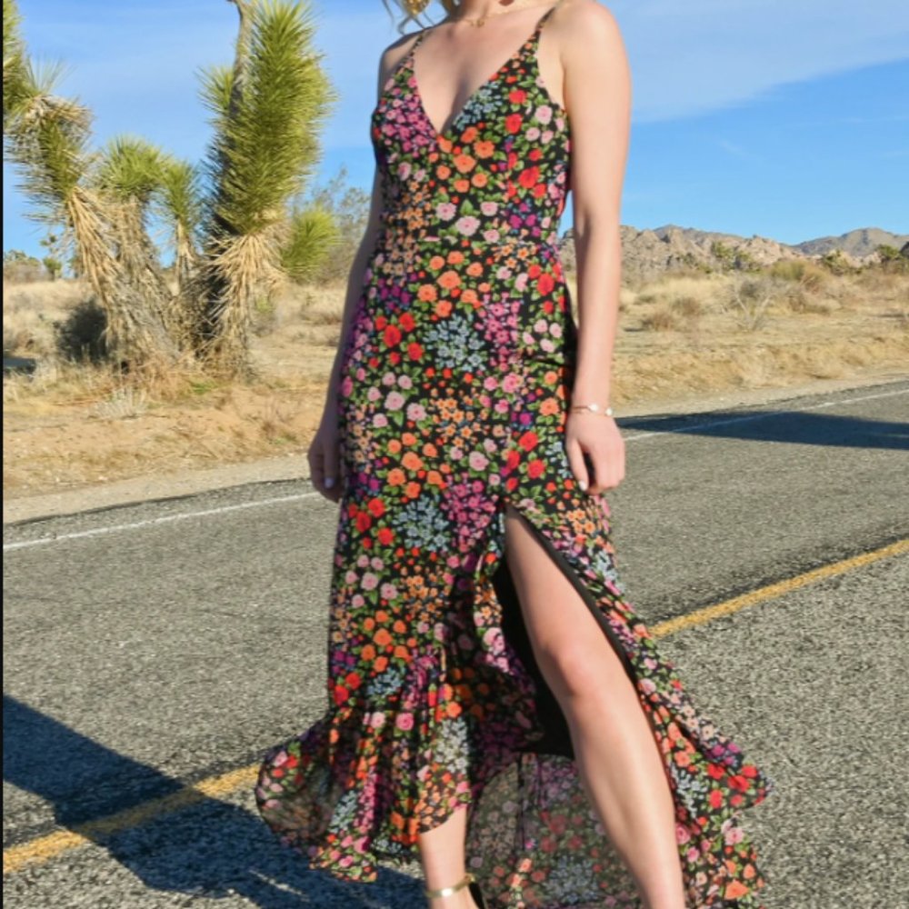 Anthropologie x Yumi Kim Rock Steady Ruffle Maxi Dress Kingston Garden Size 10